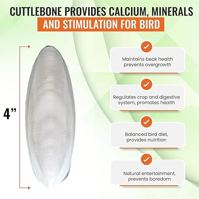Natural Cuttlebones 4 Pack Calcium Cuttlebone Treats Suitable for All Bird Breeds - Easy to Attach with Metal Holder - Great for Parakeets Parrots Cockatiels - Chew Feeder Tortoise & Snails