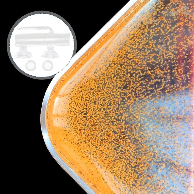 1 Set Fish Tank Incubator Glass Containers Fishing Tumbler Glass Aquarium Shrimp Breeding Box Fish Container Transparent High Borosilicate Glass Crystal Shrimp Fish Eggs