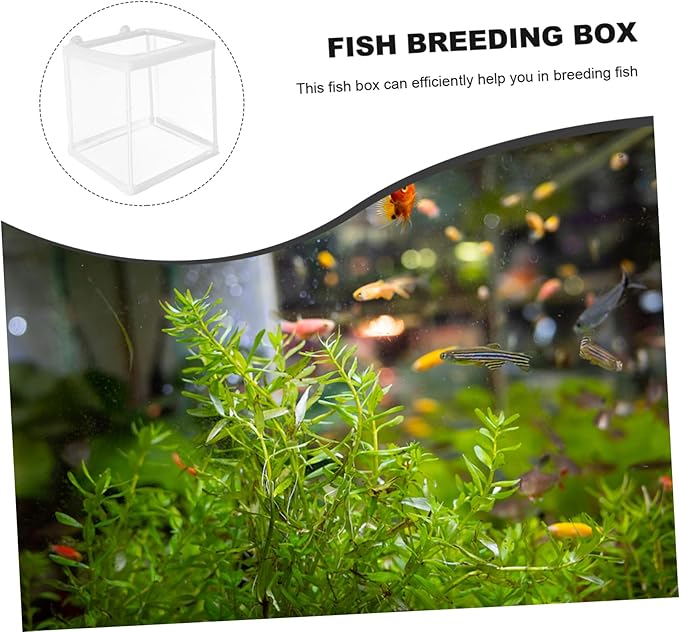Happyyami Fish Breeder Box Transparent Mesh Isolation Tank for and Fish Easy to Clean Breeding for Aquariums Safe Protection
