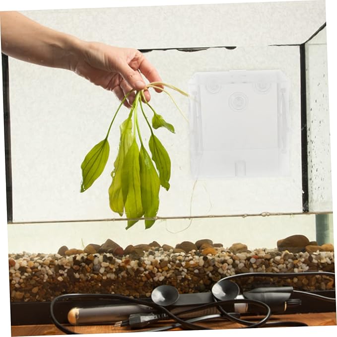 ibasenice Fish Isolation Box for Aquarium Practical Fish Tank Incubator Box for Guppy and Shrimp Breeding Lightweight Easy to Install Cups for Protecting Newborns and Eggs
