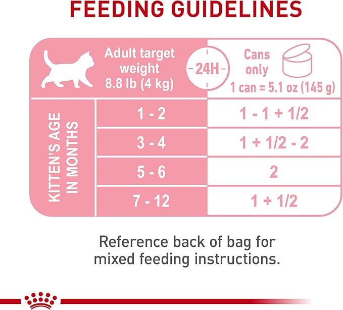 Royal Canin Feline Health Nutrition Kitten Loaf in Sauce Cat Food, 5.1 oz (Pack of 24)