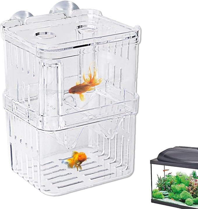 Fish Breeding Box - 20.5*9.5*9.9cm Acrylic Hatchery Incubator Tank Fish Tank Divider | Fishes Tanks Incubator Breeding Box | Aquarium Breeder BoxFish Acclimation Boxes Nursery For Injured Hatchery Inc