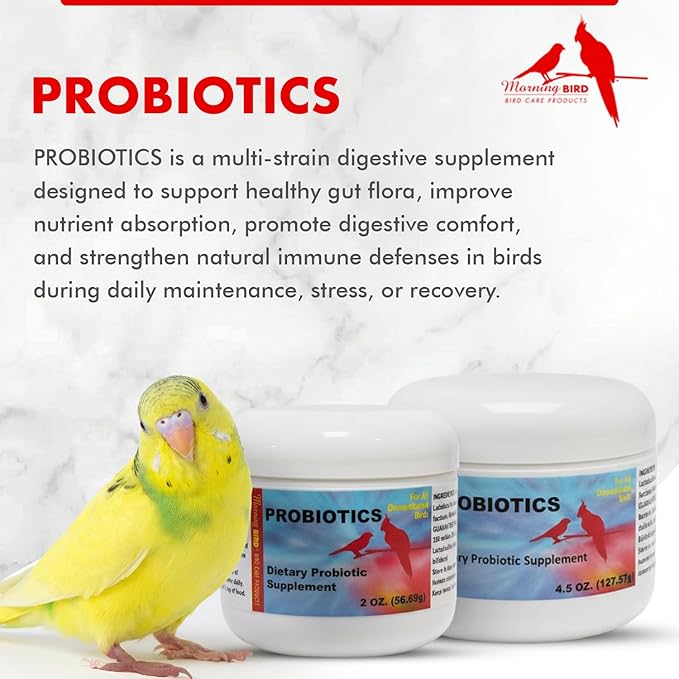Morning Bird Probiotics for Birds 2 oz – Digestive Health Supplement Supporting Gut Balance, Nutrient Absorption, & Immune Support – Easy Mix Powder Supplement for All Bird Species