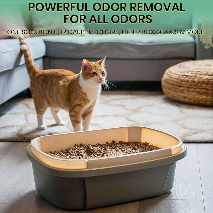 ZORBX Unscented Pet Odor Remover Spray 24 FL Oz – Perfume Free Strong Litter Odor Remover - Advanced Odor Control for Carpet, Bathroom & Urine Odors - Fast Acting Odor Remover Spray for Dogs & Cats