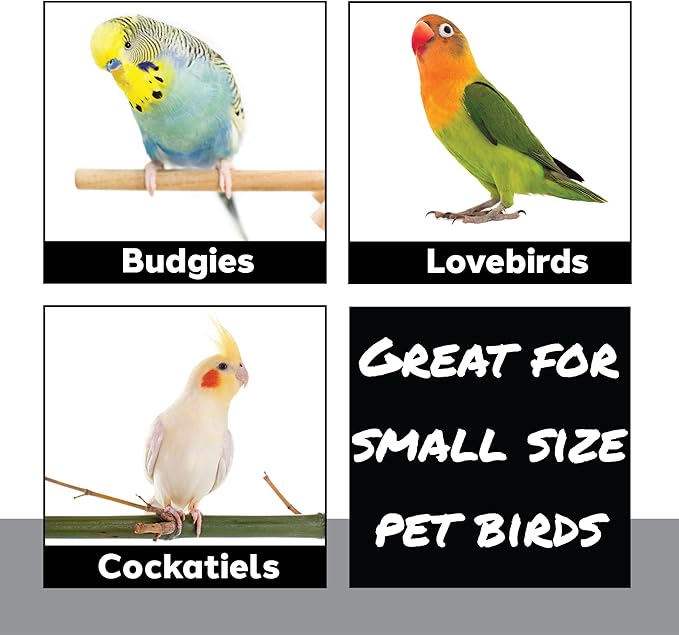 922 Rainbow Duck Ringer Bird Toy 8" - Handcrafted Hanging Rubber Ducky Cage Accessory with Bells for Budgies, Conures Lovebirds & Cockatiels - Interactive Sensory Play & Foraging Fun for Small Parrots