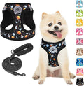 BEAUTYZOO Dog Harness Small Sized and Leash Set, Step-in Soft Padded Mesh Puppy Vest, Reflective Dog Harness No Pull No Choke, Breathable Easy Walking Vest Harnesses for Girl Boy Pets, Black Planet XS