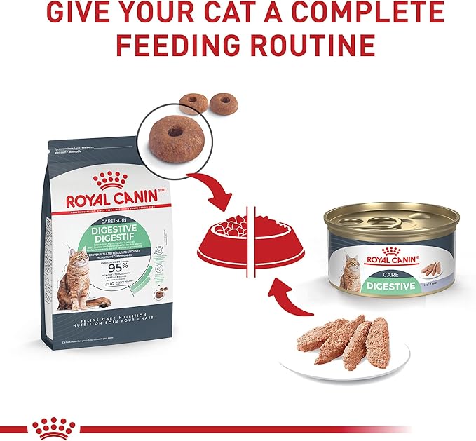 Royal Canin Feline Care Nutrition Digestive Care Adult Loaf in Sauce Cat Food, 3 oz (Pack of 24)