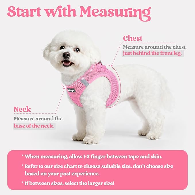 rabbitgoo Dog Harness Small Sized and Leash Set, Step in Soft Light Puppy Vest, Breathable Mesh Pet Harness, Reflective for Safe Easy Walking, Light Pink XXXS