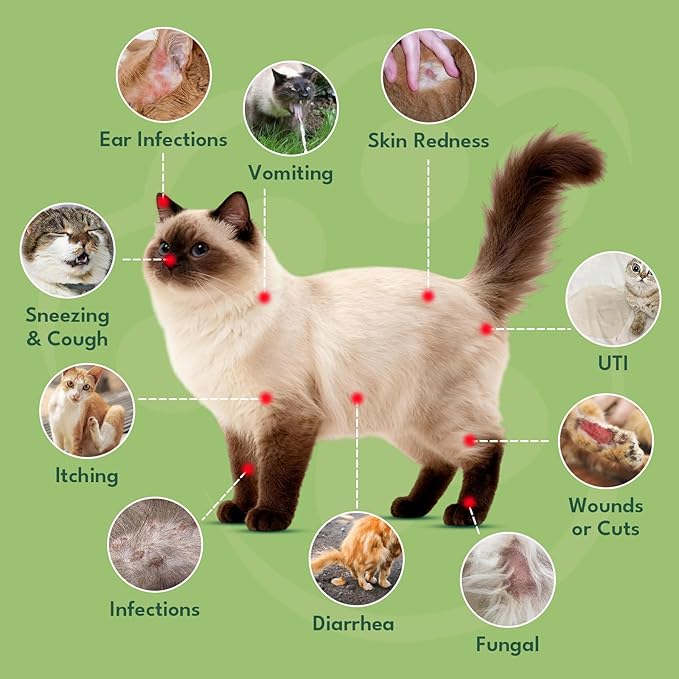 YOTANGO Natural Antibiotics for Cats, Cat Antibiotics for UTI & Itch Support, Immune, Digestive, Allergy, Skin & Coat Support for Cats and Kittens, for All Ages & Breeds (Chicken Flavor-60ml)