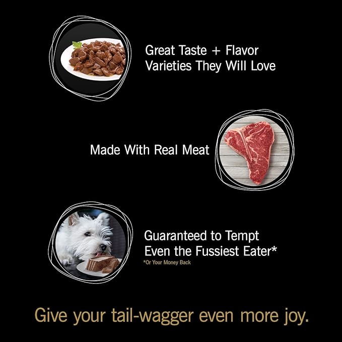 Cesar Filets in Gravy Adult Wet Dog Food Variety Pack, Filet Mignon and New York Strip Flavors, 3.5 oz. Easy Peel Dog Food Tray, 12 Count (Pack of 1)