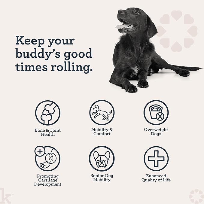 Kradle Hip and Joint Chews for Dogs - Daily Mobility & Joint Health Supplement - Soft Chews with Glucosamine, Chondriotin, MSM, Hyaluronic Acid & Turmeric - 75 Chews