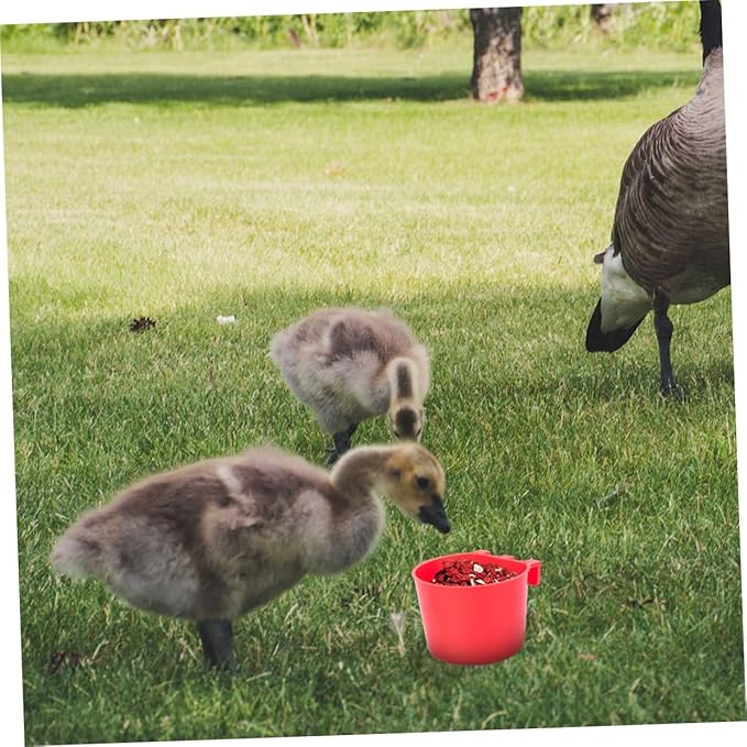 Beaupretty 20pcs Bird Cage Cups and Pet Feeder Bowls Plastic Small Feeding Watering Supplies for Birds, Pigeons, and Poultry Hanging Seed Feeders for Cage Use
