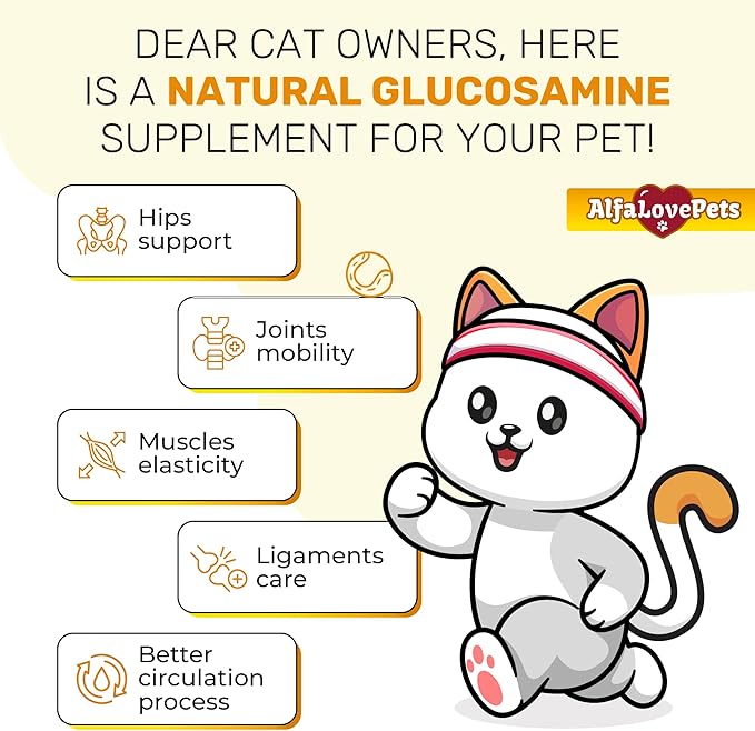 Liquid Glucosamine for Cats with Chondroitin – Taurine for Cats Works for Hips, Ligaments, Muscles, Circulation Maintenance – Cat Supplements with Natural Chicken Flavor 2-oz Bottle