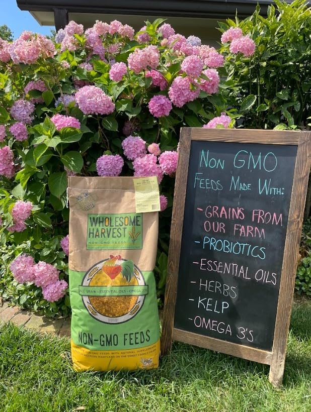 Non-GMO Soy Free-Corn Free Whole Grain Layer Mash (40 lb)
