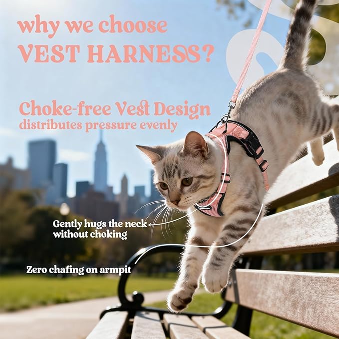 rabbitgoo Cat Harness and Leash for Walking, Escape Proof Soft Adjustable Vest Harnesses for Cats, Easy Control Breathable Reflective Strips Jacket, Light Salmon Pink, XXS
