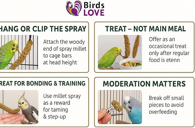 Birds LOVE 2lbs French Kissed Spray Millet for Birds – Harvested in France & Packed in The USA – 100% Natural & Sun‑Dried Millet Spray for Parakeets, Cockatiels, Conures, Parrots & Budgies