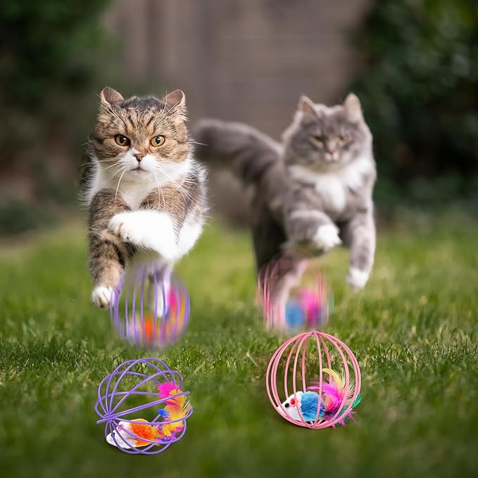 Jecery 5 Pcs Cat Spring Balls Toys Stretchable Rolling Balls Colorful Playful Coils Interactive Action Toy Caged Rats for Kitten Pet Supplies (Metal Cage,Multicolor)