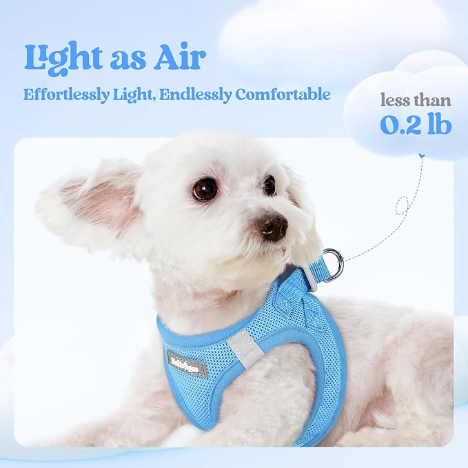 rabbitgoo Dog Harness Small Medium Sized and Leash Set, Step in Soft Light Puppy Vest, Breathable Mesh Pet Harness, Reflective for Safe Easy Walking, Blue XL