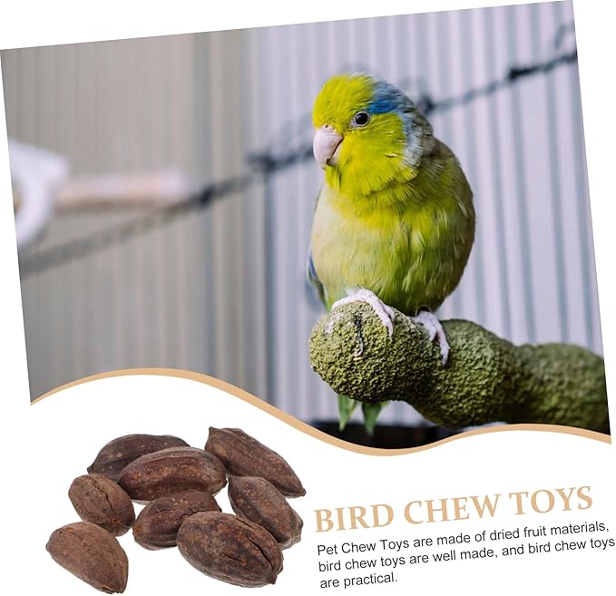 Totority 8pcs Natural Dried Fruit Bird Chewing Toys for Parakeets Cockatiels Healthy Shredding Toys to Reduce Boredom Furniture Fun Parrot Teething Accessories