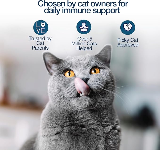 L-Lysine Gel for Cats & Kittens (5oz) – Immune System, Respiratory & Eye Health Support. Reduces Sneezing, Runny Nose & Watery Eyes. Daily Salmon-Flavor Supplement – Made in USA (6 Pack)