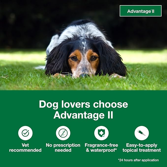 Advantage II Medium Dog, 6 pack