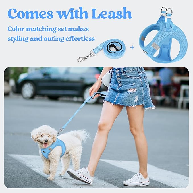 rabbitgoo Dog Harness Small Medium Sized and Leash Set, Step in Soft Light Puppy Vest, Breathable Mesh Pet Harness, Reflective for Safe Easy Walking, Blue XL