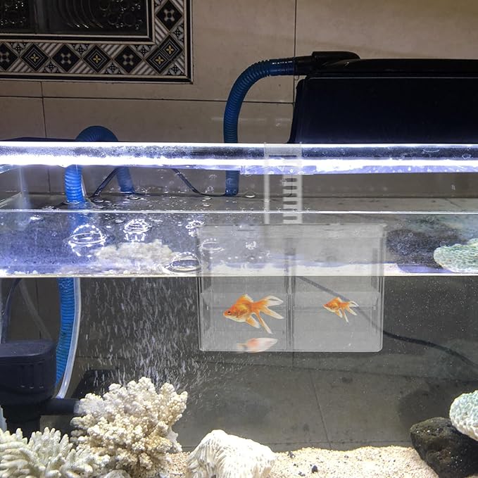 BESPORTBLE Fish Breeding Hatchery Box with Hooks, Aquarium Isolation Nursery Tank, Dual-Chamber Incubator for Tropical Fish Fry and Guppy Breeding in Home Aquariums