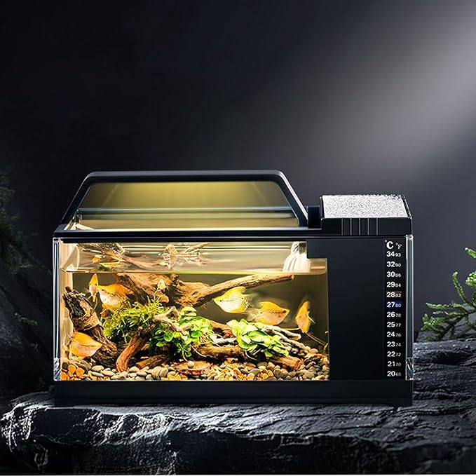 Aquarium Starter Kit - Home Setup Fish Tank Kit, Small LED Filter Bowl | Smart Tabletop Aquatic Tank, Silent Pump Filtration System with Light for Office Desk Room Living Area Display