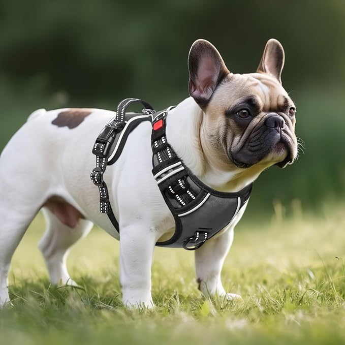 Timos Dog Harness Small Sized, No Pull with Neck Lockable Snap,No Choke Front Clip Dog Reflective Harness,Adjustable Metal Rings 3 Buckles,Easy Control Handle for Small Dogs Gray S