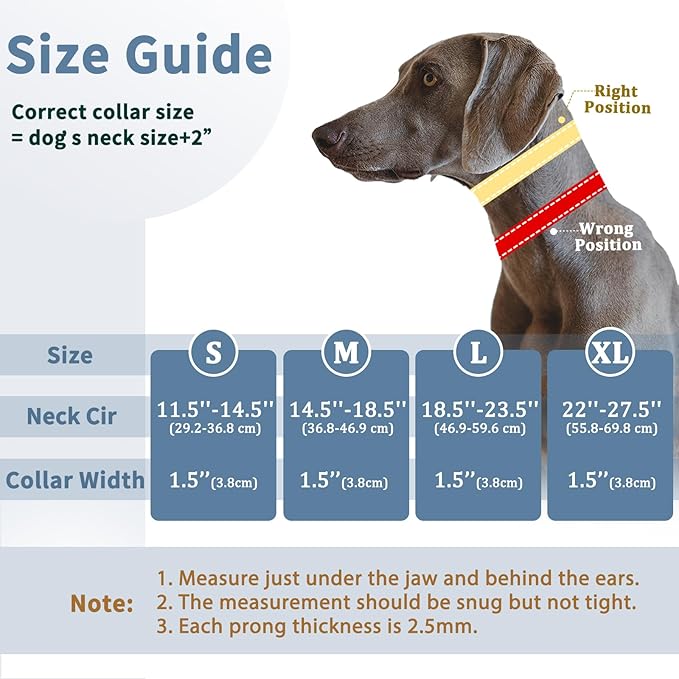Mayerzon Dog Collar, Patented Martingale No Pull Collar for Small Medium Large Dogs with Buckle for Walking Training, Hidden Design (Black, Large,2.5mm,18.5"-23.5" Neck)