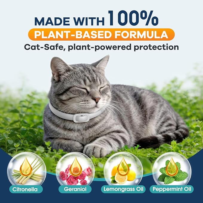 Flea Collar for Cats 4 Pack, 8-Month Flea & Tick Prevention per Collar, Natural Plant-Based, Water-Resistant, Adjustable, Fast-Acting & Long-Lasting, Safe for Adult Cats and Kittens, White