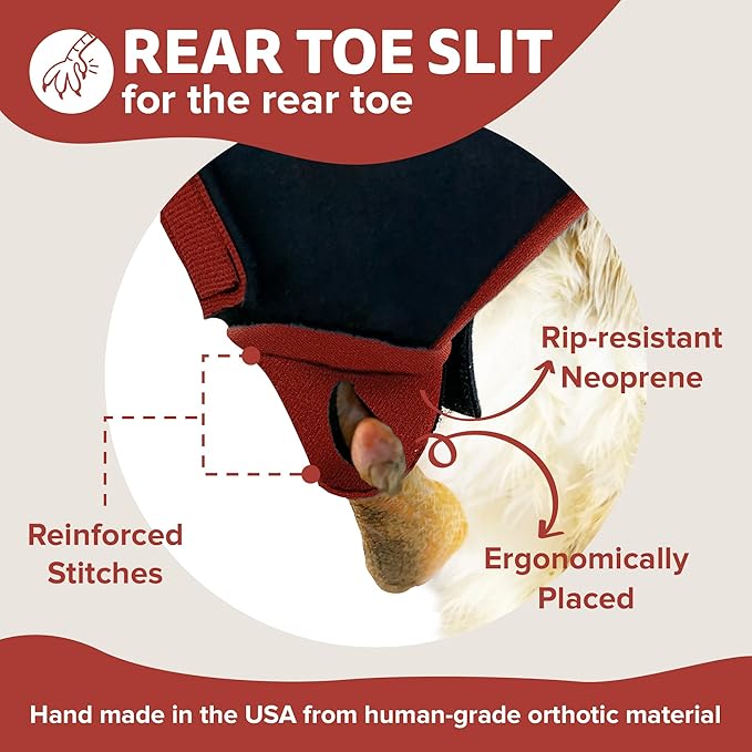 Duck Shoes for Injured Feet – Protective Neoprene Footwear for Ducks, Protective Shoes for Birds with Injured feet, Bumblefoot Relief - Medium, 3.5” Max. Inside Width - Red
