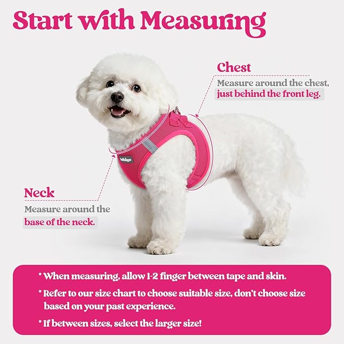 rabbitgoo Dog Harness Small Sized and Leash Set, Step in Soft Light Puppy Vest, Breathable Mesh Pet Harness, Reflective for Safe Easy Walking, Rose Red XS