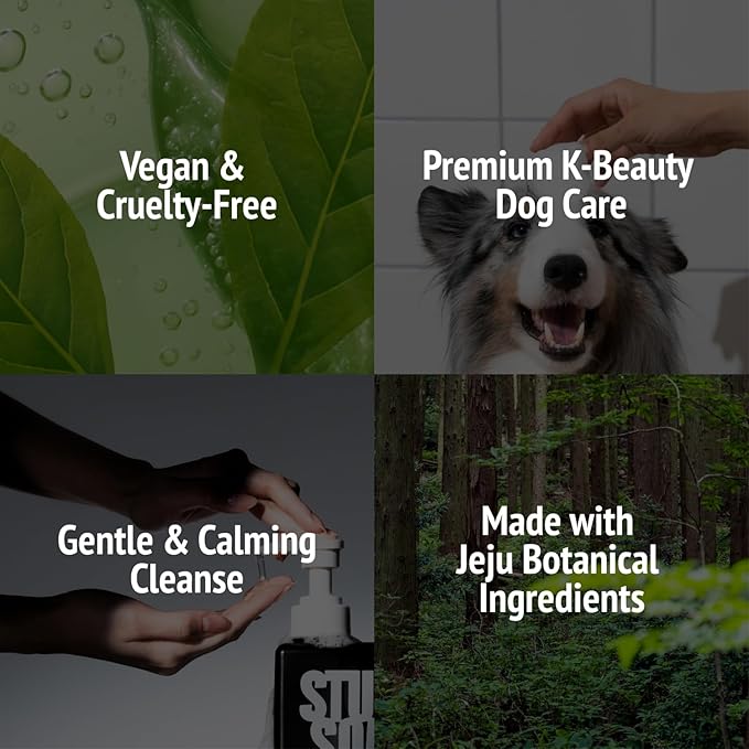 Vegan Dog Shampoo - Inspired by K-Beauty Luxury Spa Care, Long-Lasting Scent, High-Concentrate Rich Lather, Deep Cleaning & Odor Control, Gentle for Sensitive Skin, 500ml (Silent Grove)