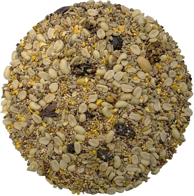 Classic Bird Seed (10 Pounds, Classic No Mess)