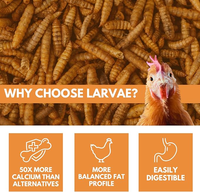 Black Soldier Fly Larvae Chicken Treats, Mealworms Alternative, Grubs for Chickens, High Calcium for Laying Hens, Made in USA, 1 lbs