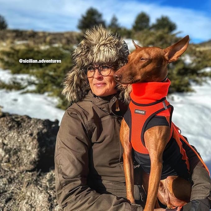 Best Pet Supplies Voyager Step-in Air Harness - All Weather Mesh, Reflective, No Pull Harness for Dogs, Cats - Secure with Hook & Loop Fastener, Buckle, Double D-Rings - Orange/Black Trim, XXXS