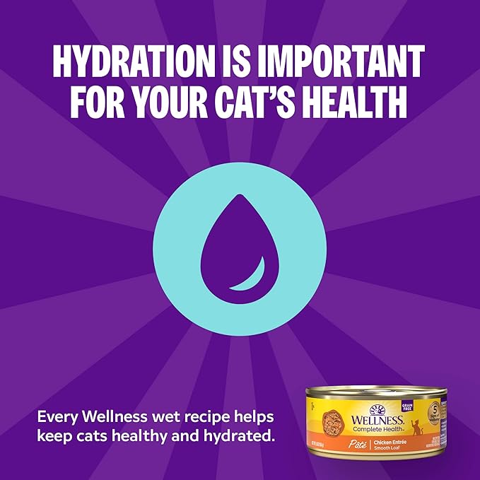 Wellness Complete Health Pate Adult Wet Cat Food, Natural, Protein-Rich, Grain Free, 12.5 Ounce, 12 Pack, (Chicken)