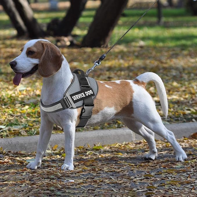 JSXD Dog Harness,No-Pull Service Dog Harness with Handle Adjustable Outdoor Pet Dog Vest 6M Reflective Nylon Material Vest for Breeds,Easy Control for Small Medium Large Dogs