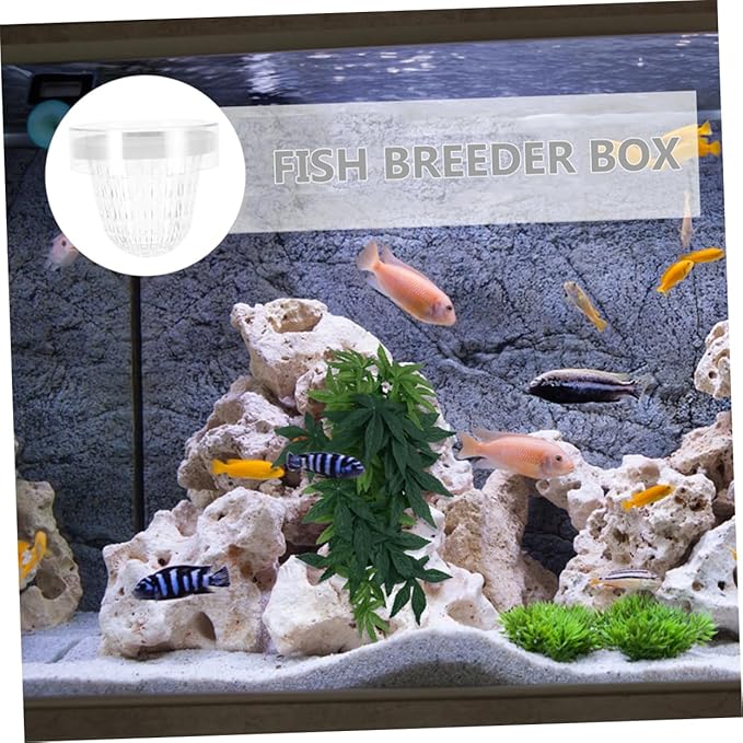 Toyvian 2pcs Aquarium Breeding Box Floating Incubator for Fish Tank Transparent Isolation Box for Guppies Easy Installation High-Efficiency Isolation Safe Environment for Fry and Mother