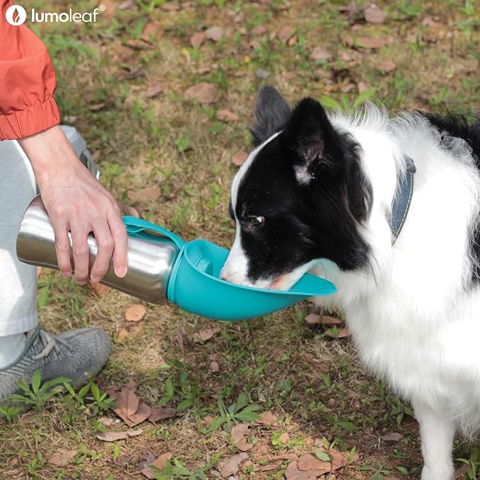 LumoLeaf Portable Dog Water Bottle 27 OZ, Stainless Steel Pet Travel Water Bottle Dispenser for Walking, Hiking and Outdoor, Portable Water Bowl for Large Dogs (Blue)