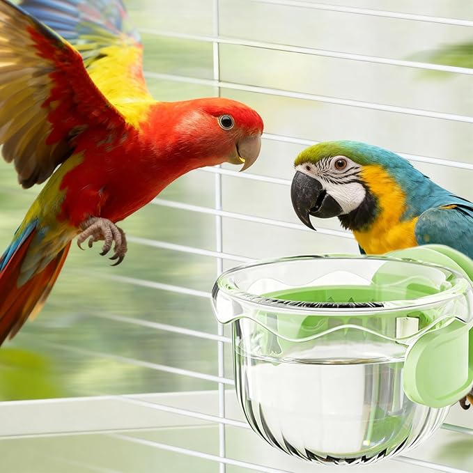 Parrot Feeder Set - 2-Piece Hanging Parrot Feeder for Bird Cages, Suitable for Cockatiels, Lovebirds, Macaws, and Other Pet Birds (Green)