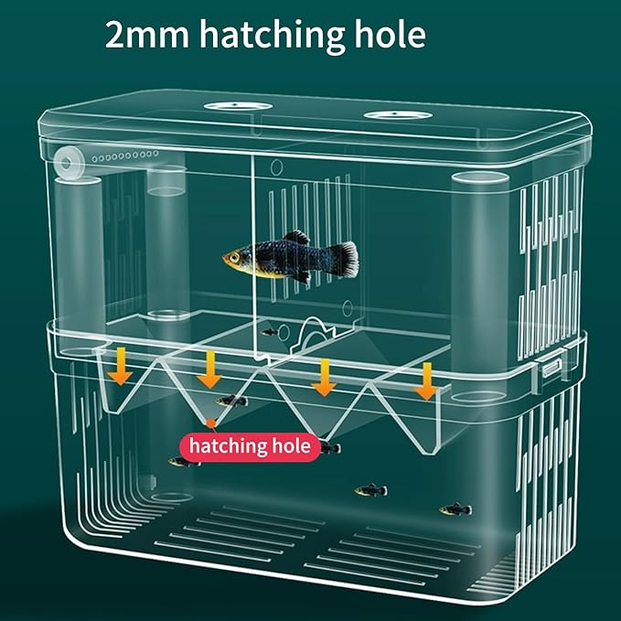 Hanging Breeding Tanks for Aquarium Small Fish Isolation Box Hatchery for Clear Spawning Aquarium Breeding Box with Detachable Wall