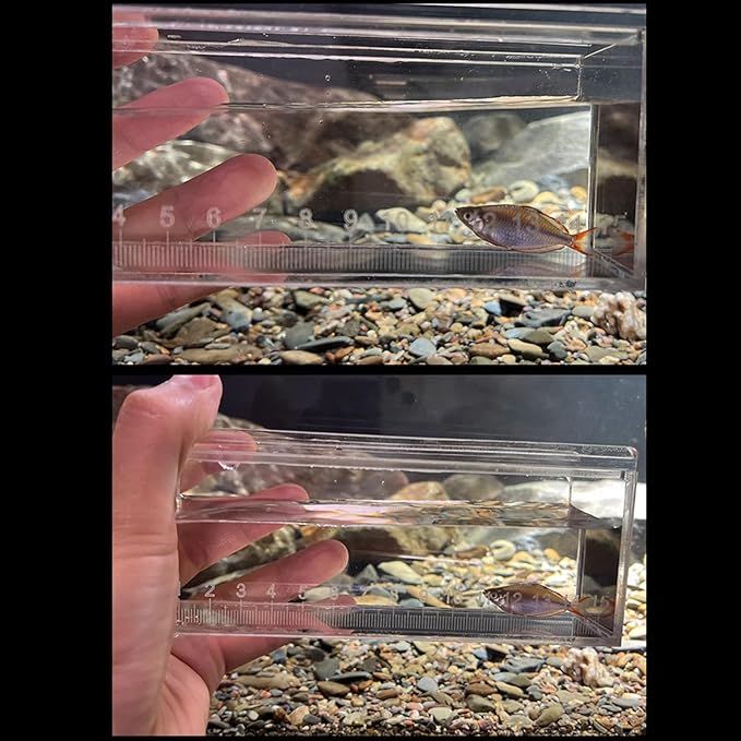 Acrylic Fish Viewing Box Multifunctional Fish Breeding Case for Aquarium and Hatchery with Clear Scale for Observation
