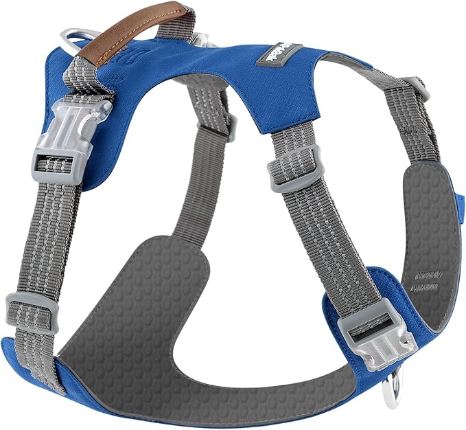 No Pull Dog Harness – Adjustable Reflective Nylon Vest for Small Medium Large Dogs, Escape Proof Training Harness with Leather Control Handle, Lightweight Aluminum Hardware (Royal Blue, M)