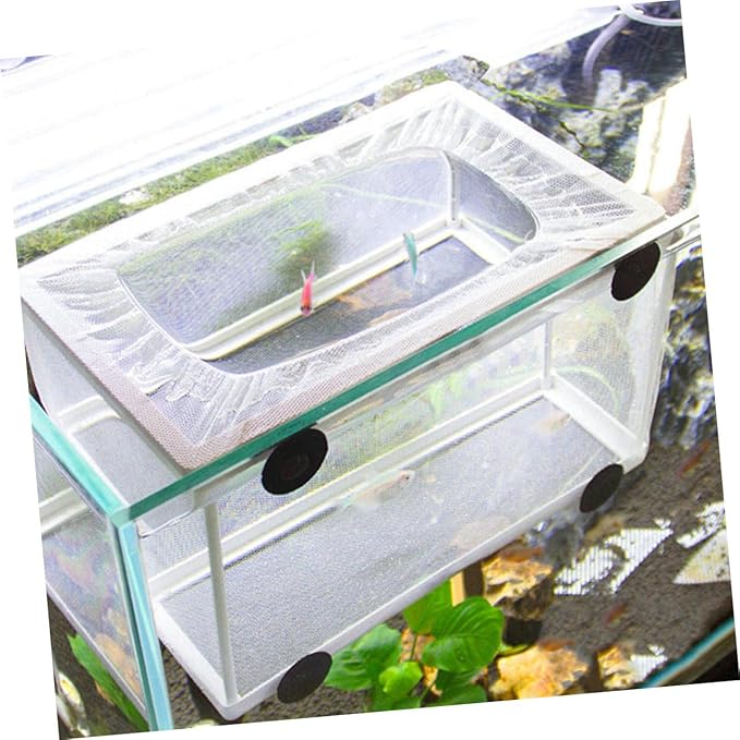 BESPORTBLE 3pcs Large Fish Tank Isolation Box Net for Fish Breeding Incubator Hatchery