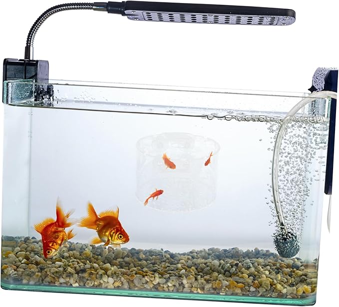 BESPORTBLE Fish Breeder Box Fish Breeding Tank for Isolation Lightweight Portable Aquarium Divider for Betta and Shrimp Easy to Install Design