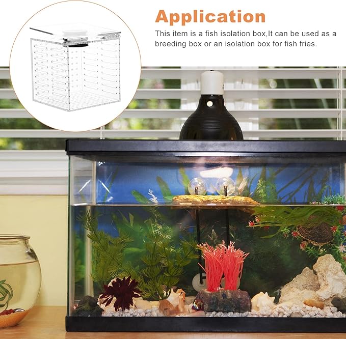 Toyvian 1pc Magnetic Fish Isolation Box Aquarium Breeding Case for Safe Fish Separation and Adaptation for Fry Easy to Install Tank