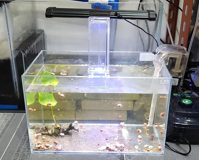 Small Nano Rimless Tank, Clear Glass Fish Tank, 1.1 Gallon, 7.8x5.5x5.9inch/20x14x15cm, Betta Fish Tank
