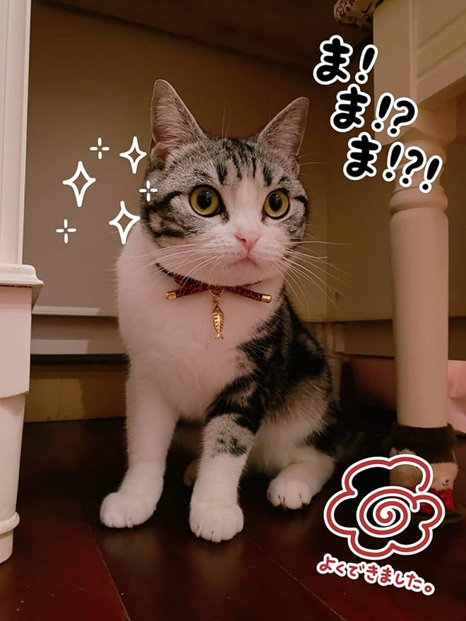 PetSoKoo Cute Bowtie Cat Collar with Bell. Japanese Stylish Bowknot & Fish Charm. Safety Breakaway, Soft, Lightweight, for Girl Boy Male Female Cats Kitten,Red